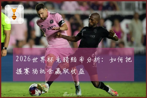 2026世界杯竞猜赔率分析：如何把握赛场机会赢取收益