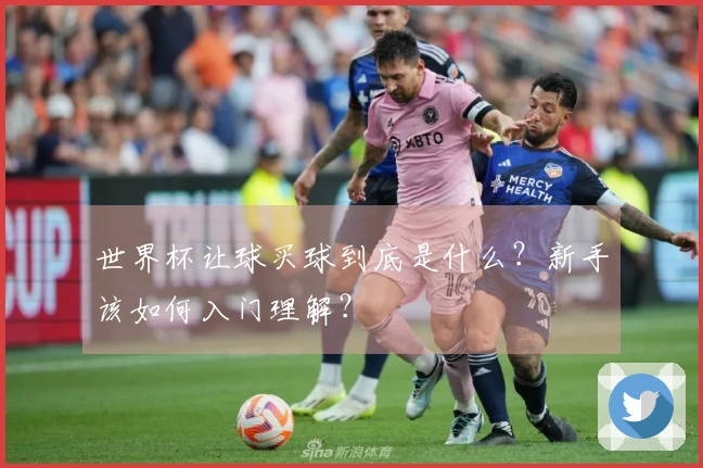 世界杯让球买球到底是什么？新手该如何入门理解？