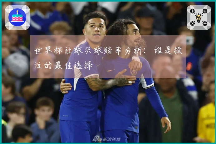 世界杯让球买球赔率分析：谁是投注的最佳选择