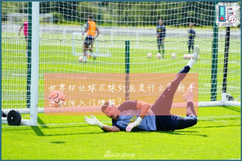 世界杯让球买球到底是什么？新手该如何入门理解？