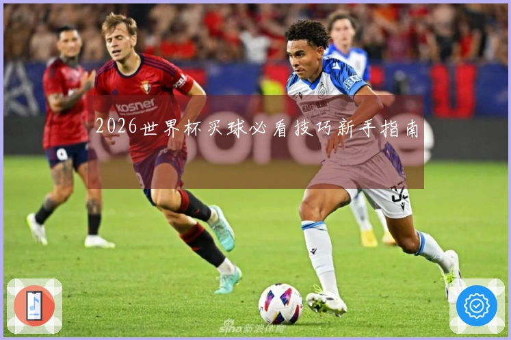 2026世界杯买球必看技巧新手指南