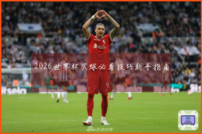 2026世界杯买球必看技巧新手指南